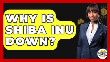 Why Is Shiba Inu Down? - CryptoBasics360.com