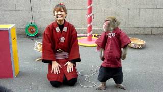 Monkeys show at Tokyo tower by cata81suwen 31,191,730 views 12 years ago 15 minutes