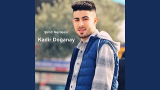 Şimdi Nerdesin