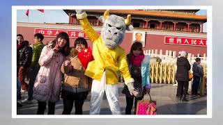 Famous USF Education Abroad | University of South Florida Profile