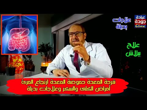 علاج ببلاش قرحة المعدة حموضة المعدة ارتجاع المرئ أمراض الكلى والسكر وعلاجات بديلة دكتور جودة عواد 