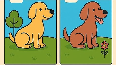 köpeklerin arasındaki ve 7 farkı bul