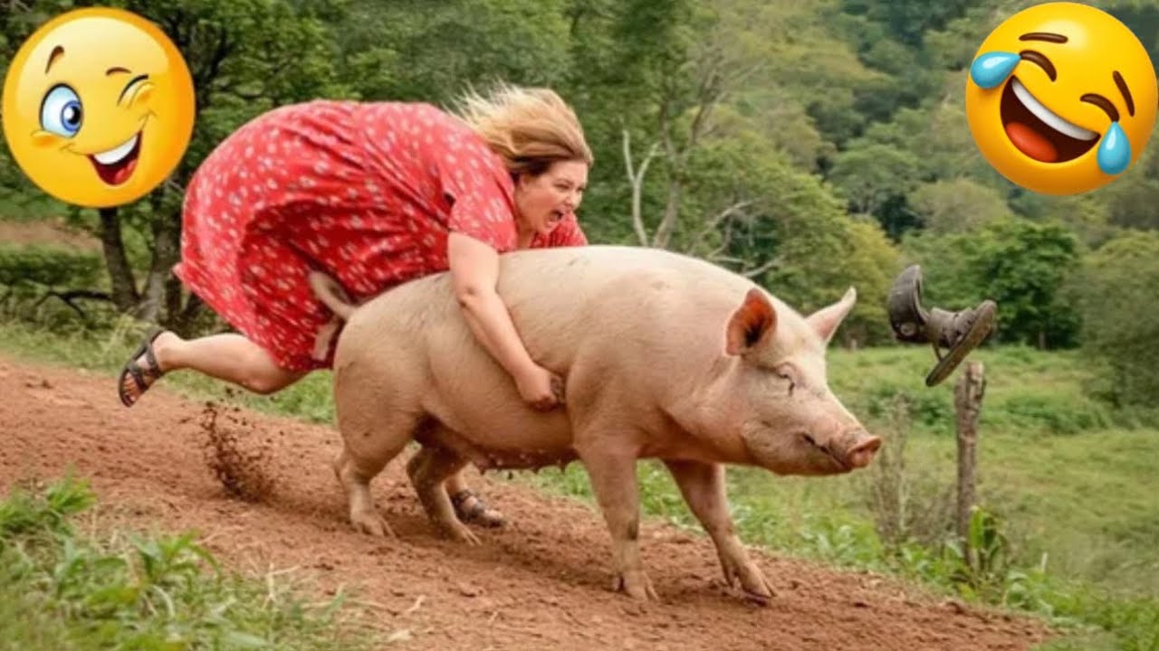 Funny Videos Try Not To Laugh: Best Fails Compilation | People Failing ...