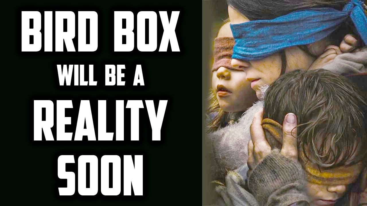 Bird Box is a Reality of End Days that's Coming by Dajjal | Universal Income Sufi Meditation Center
