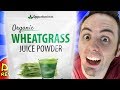 BEST WHEATGRASS JUICE POWDER? | Wheatgrass Powder Taste & Opportuniteas Review