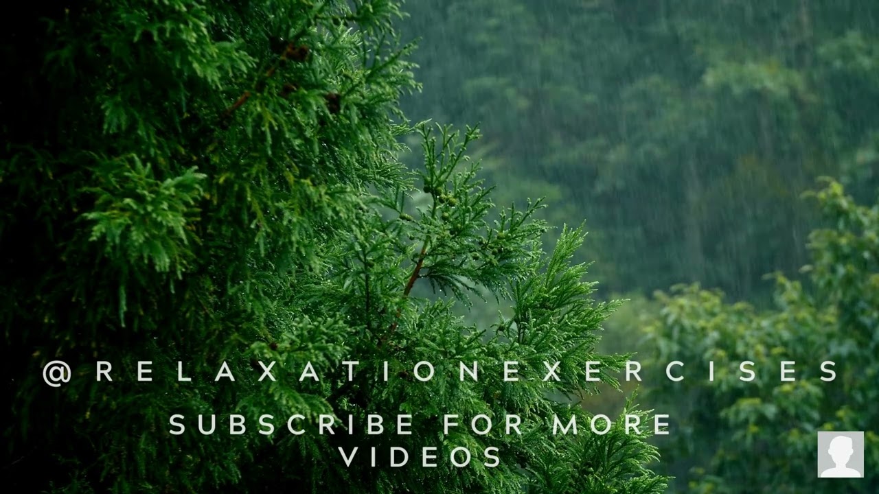 "Rainforest Rainfall Relaxation: Escape to Tranquility with Guided Imagery"