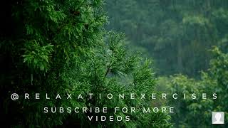 "Rainforest Rainfall Relaxation: Escape to Tranquility with Guided Imagery"