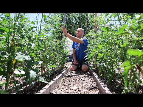 7 CRITICAL Summer Garden Actions You Need to Take Today