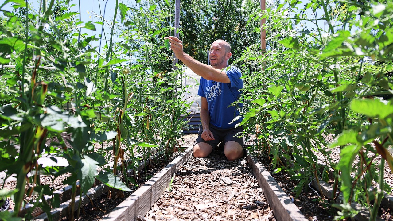 7 CRITICAL Summer Garden Actions You Need to Take Today