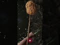 Would you use the poo sponge? #gaming #indiegame #theforgottencity