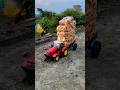 Remote Control Scooty Girl And Monkey Scooter Unboxing And Testing Short ||