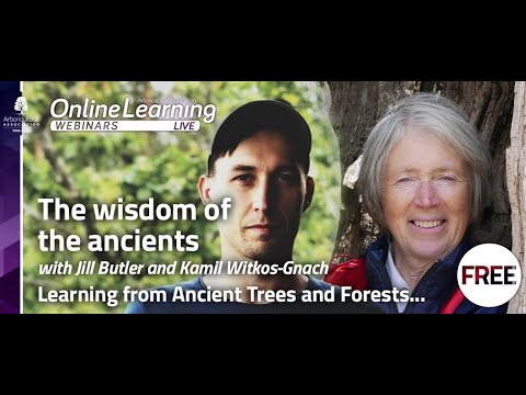 Webinar: The Wisdom of the Ancients - learning from ancient forests & trees