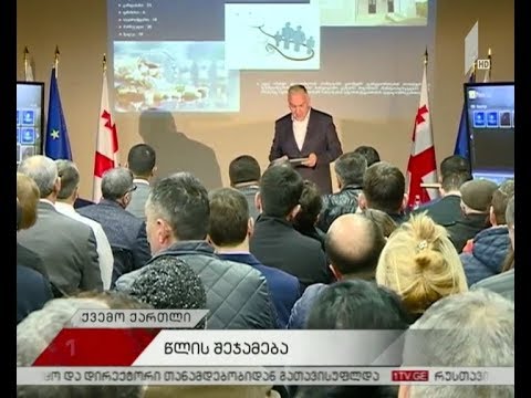 ქვემო ქართლის რწმუნებულის საქმიანობის ანგარიში