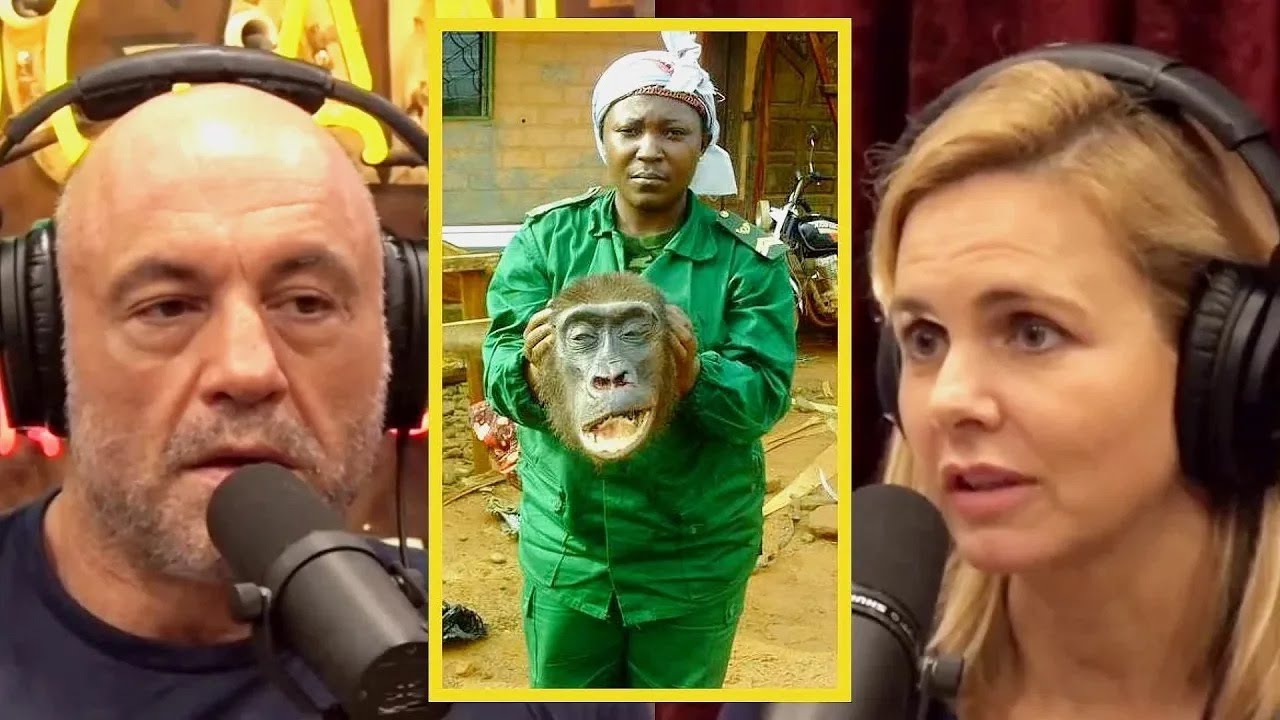 Joe Rogan The Dark Ape Trafficking in Congo - YouTube