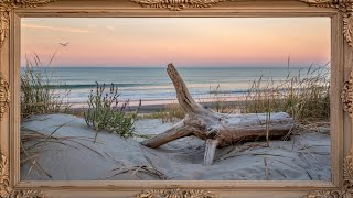 Driftwood & Dunes | Spring Coastal Sunset Frame TV Art (4K, 2Hours) No sound screenshot 5