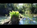 Ce spot secret abrite des poissons normes