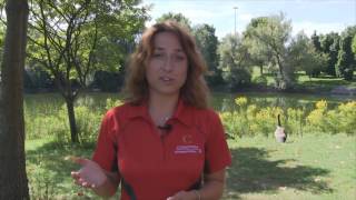 Conestoga College International Student Welcome in Russian with English Subtitles