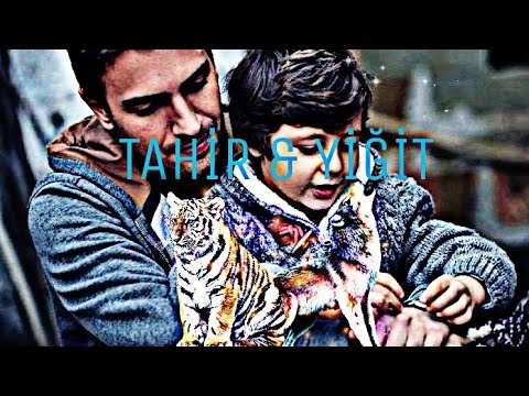 Tahir & Yiğit | ay ışığında uluyan kurt & denizden gelen kaplan