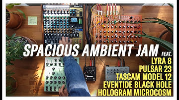 Tascam Model 12, Lyra 8, Pulsar 23, Eventide Blackhole, Hologram Microcosm Performance [No Talking]