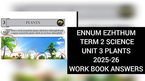 EE CLASS 4 SCIENCE UNIT 3 PLANTS WORK BOOK ANSWERS 2025-26