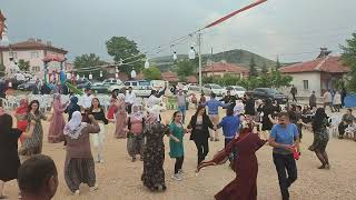 Seyitgazi düğün potbori