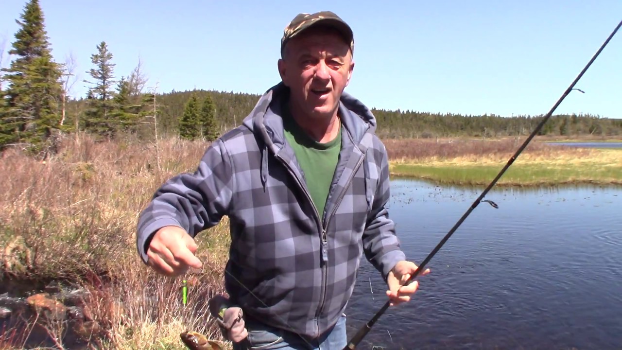 First Trip Of Trout Fishing May 19/2018 In Newfoundland. YouTube