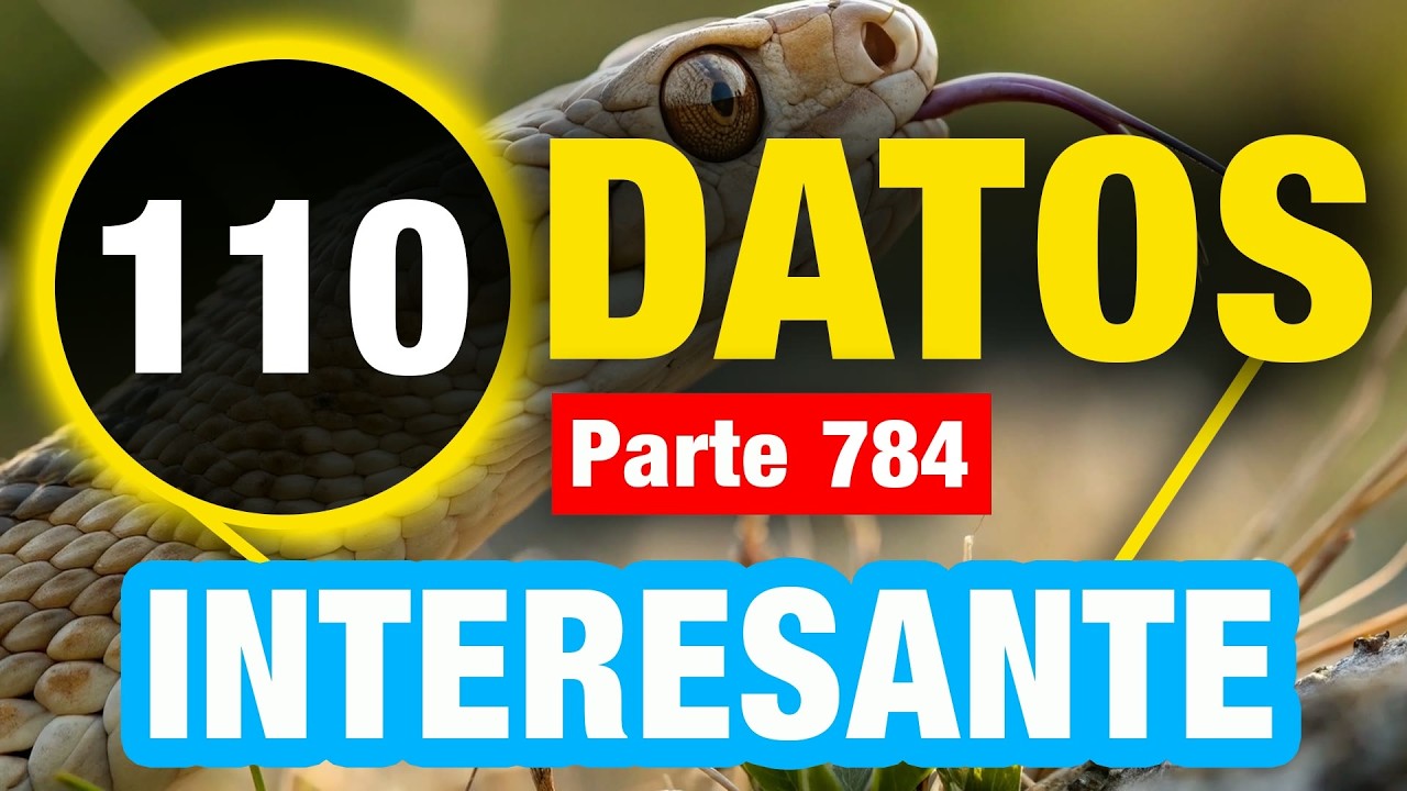 110 Datos Interesantes Que Te Harán Más Inteligente