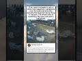 GOAT TURNS INTO ACCIDENTAL FARM MONSTER
