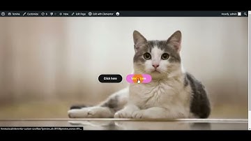 Elementor Button Sound Effect on Click