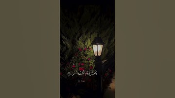 تلاوة جميلة..#القرآن_الكريم #تلاوة
