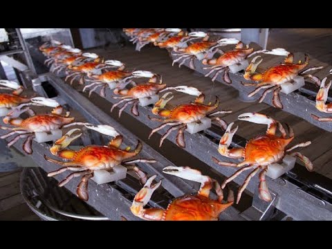समुद्री खाना ऑक्टोपस🐙झींगा🦐बड़ी मछली🐟केकड़ा 🦀 बनाने वाली मशीन Big Seafood processing machines!