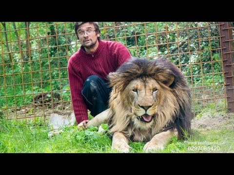 Muere por el ataque del león que tenía como mascota ilegalmente - YouTube