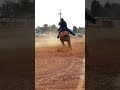 #nsca #omoksee #horse #rodeo #westernmedia #western #westernriding #aqha #youtubeshorts #subscribe