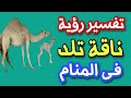 تفسير رؤية ناقة تلد فى المنام