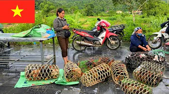 Traditional Vietnamese Market: Journey to Explore Bão Nhai Market, Lào Cai
