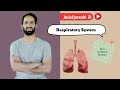 Respiratory System | Parts, Location and Function | By Anis Qureshi