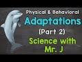 Adaptations of Bottlenose Dolphins