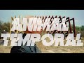 Capture de la vidéo Viniloversus - Animal Temporal (Video Oficial)