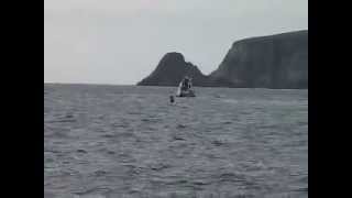 Shell Speedboats Ram And Sink Kayaker For Corrib Gas Project