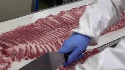 Máy cắt thịt mát tốc độ cao nhật bản Jupiter II