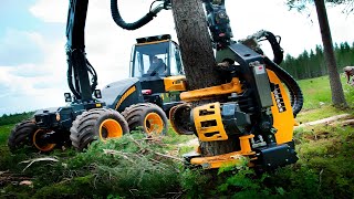 🌳Powerful Tree Harvester Working, Amazing Giant Excavator Cutting Tree, Fast Tree Removal Machine
