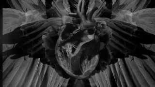 Mujuice - Swan Path (Metamorphosis 2014)