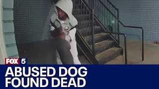 Dog Seen Abused On Apartment Doorbell Cam Found Dead