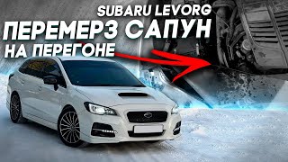 :    SUBARU LEVORG!    ?