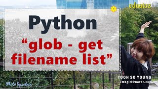 [PYTHON-180] glob module | 파일 검색 조건을 사용하여 파일이름 목록 얻기