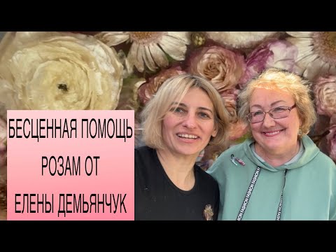 ВИЗИТ К РОЗОВОЙ ДАМЕ| ЕЛЕНА ДЕМЬЯНЧУК: СЕКРЕТЫ,ОПОРЫ И ДРУГОЕ ОТ РОЗОВОДА