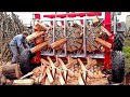 Fastest biggest firewood processing machine technology  amazing modern wood cutting machine working