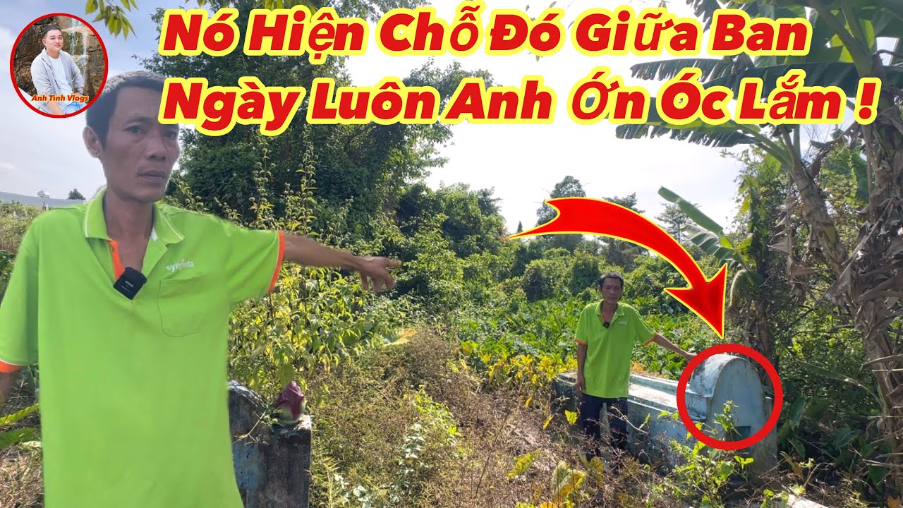 Kỳ lạ phát hiện người đàn ông gặp chuyện “khủng khiếp” giữa ban ngày nghe kể mà Ớn Óc 