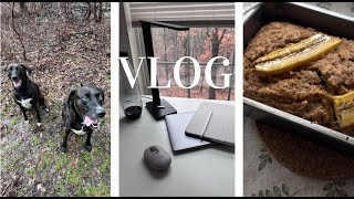 VLOG 🫧 Building new desk | Logi pop mouse unboxing | making banana bread | Dogs playing in the mud