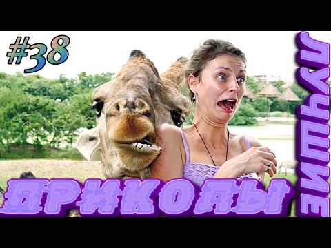 Лучшие ПРИКОЛЫ 2024 СМЕШНО ДО СЛЕЗ 😂 22 Минуты ОТБОРНЫХ Русских приколов МАЙ 2024 Смешные видео #38